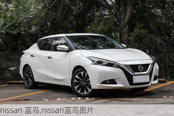 nissan 蓝鸟,nissan蓝鸟图片