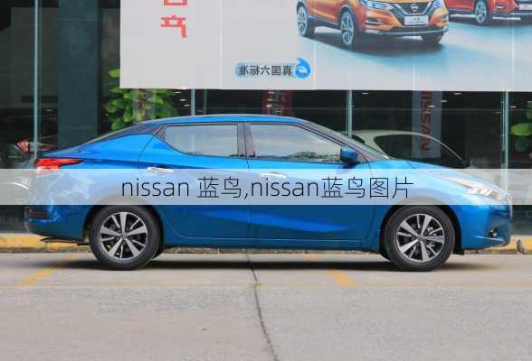 nissan 蓝鸟,nissan蓝鸟图片