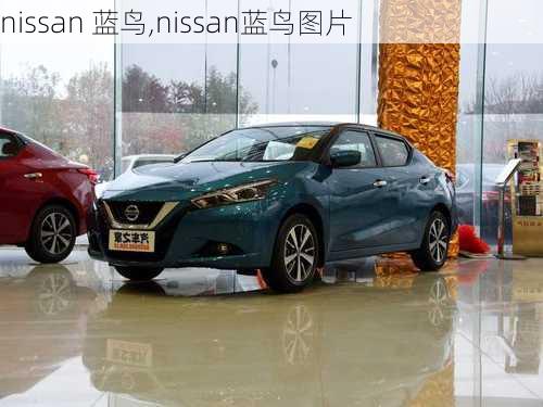 nissan 蓝鸟,nissan蓝鸟图片