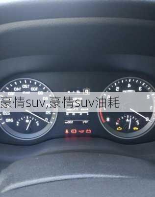 豪情suv,豪情suv油耗