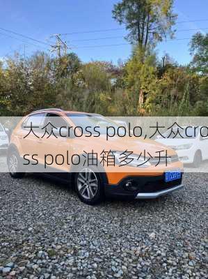 大众cross polo,大众cross polo油箱多少升