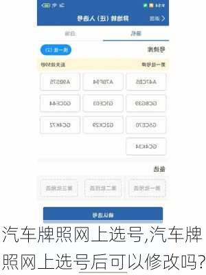 汽车牌照网上选号,汽车牌照网上选号后可以修改吗?