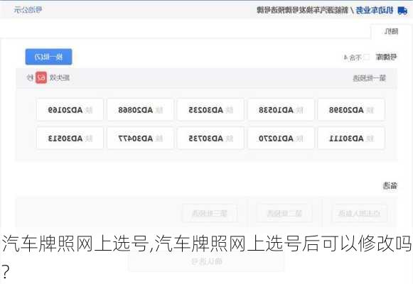 汽车牌照网上选号,汽车牌照网上选号后可以修改吗?