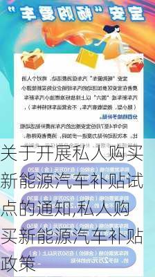 关于开展私人购买新能源汽车补贴试点的通知,私人购买新能源汽车补贴政策