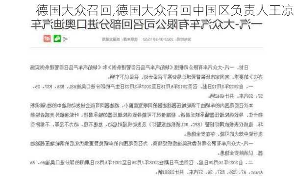 德国大众召回,德国大众召回中国区负责人王凉