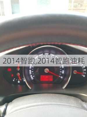 2014智跑,2014智跑油耗