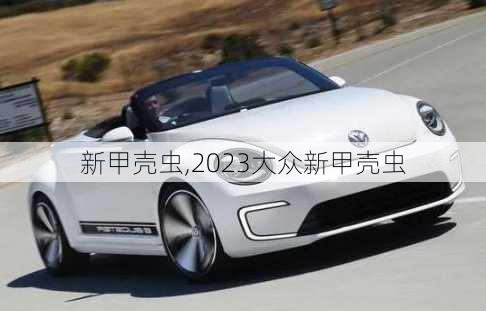 新甲壳虫,2023大众新甲壳虫