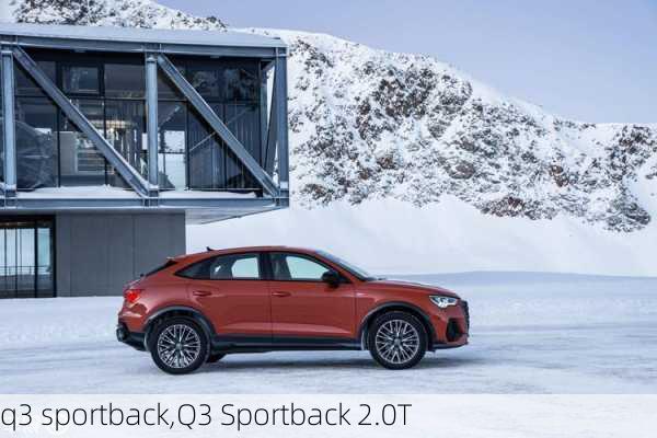 q3 sportback,Q3 Sportback 2.0T