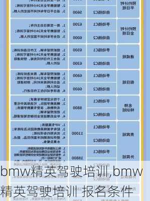 bmw精英驾驶培训,bmw精英驾驶培训 报名条件