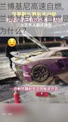 兰博基尼高速自燃,兰博基尼高速自燃是为什么?