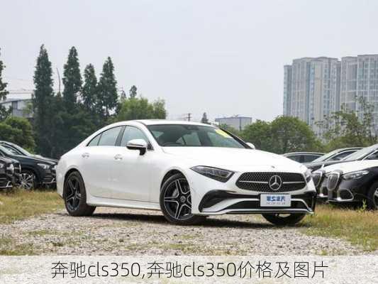 奔驰cls350,奔驰cls350价格及图片