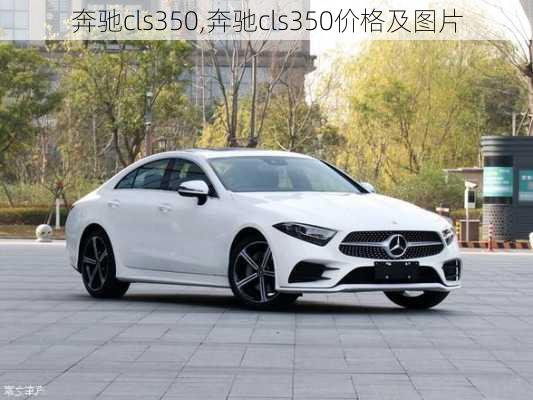 奔驰cls350,奔驰cls350价格及图片