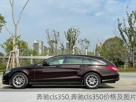 奔驰cls350,奔驰cls350价格及图片