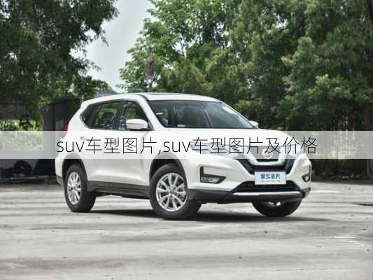 suv车型图片,suv车型图片及价格