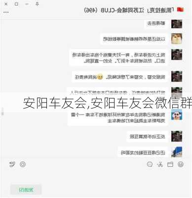 安阳车友会,安阳车友会微信群