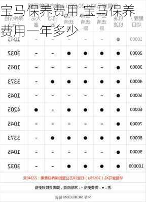 宝马保养费用,宝马保养费用一年多少