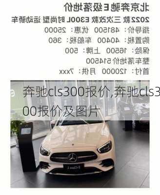 奔驰cls300报价,奔驰cls300报价及图片