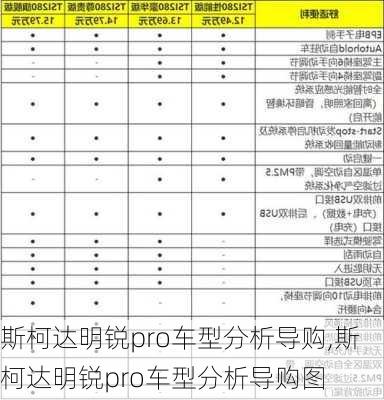 斯柯达明锐pro车型分析导购,斯柯达明锐pro车型分析导购图