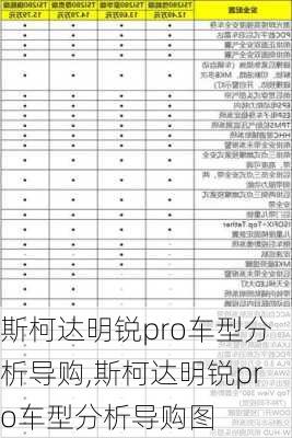 斯柯达明锐pro车型分析导购,斯柯达明锐pro车型分析导购图