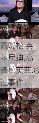 高晓松 英菲尼迪,高晓松英菲尼迪事件