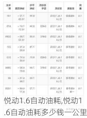 悦动1.6自动油耗,悦动1.6自动油耗多少钱一公里