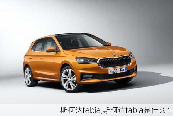 斯柯达fabia,斯柯达fabia是什么车