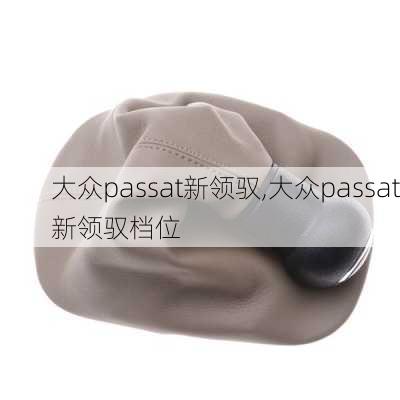 大众passat新领驭,大众passat新领驭档位