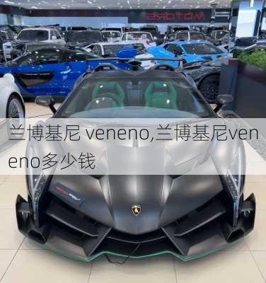 兰博基尼 veneno,兰博基尼veneno多少钱