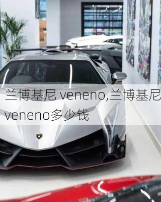 兰博基尼 veneno,兰博基尼veneno多少钱