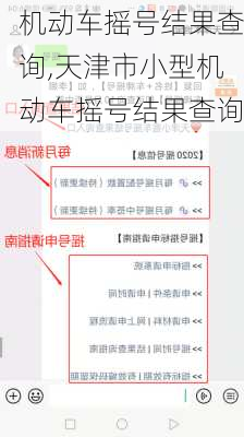 机动车摇号结果查询,天津市小型机动车摇号结果查询