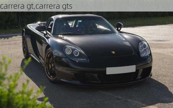 carrera gt,carrera gts