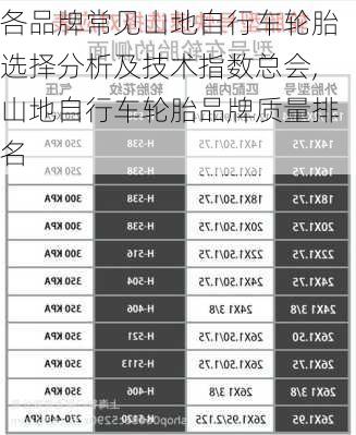 各品牌常见山地自行车轮胎选择分析及技术指数总会,山地自行车轮胎品牌质量排名