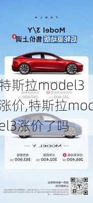 特斯拉model3涨价,特斯拉model3涨价了吗