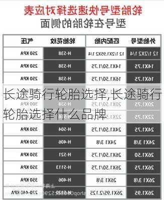 长途骑行轮胎选择,长途骑行轮胎选择什么品牌