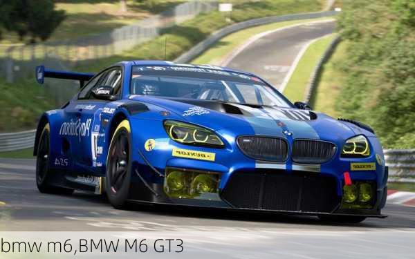 bmw m6,BMW M6 GT3