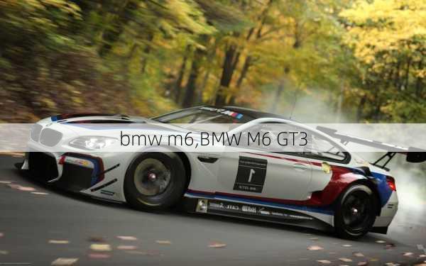 bmw m6,BMW M6 GT3