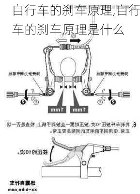 自行车的刹车原理,自行车的刹车原理是什么