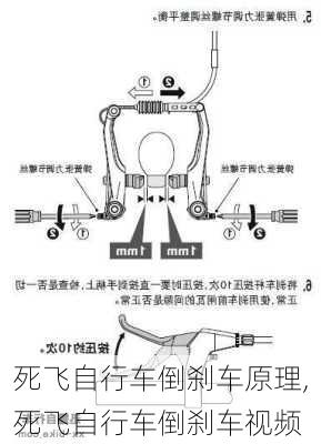 死飞自行车倒刹车原理,死飞自行车倒刹车视频