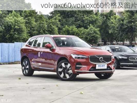 volvoxc60,volvoxc60价格及图片