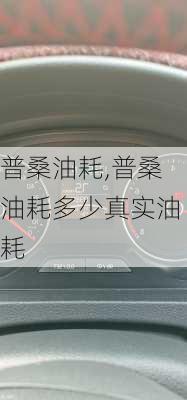 普桑油耗,普桑油耗多少真实油耗