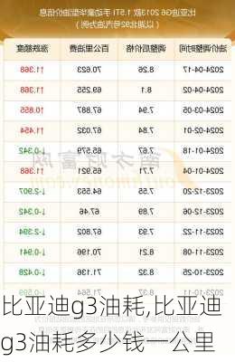 比亚迪g3油耗,比亚迪g3油耗多少钱一公里