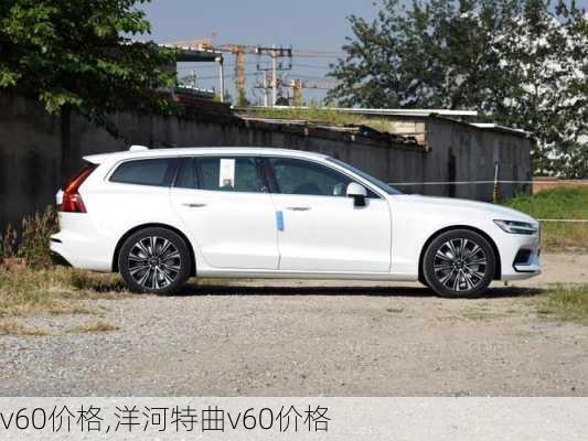 v60价格,洋河特曲v60价格