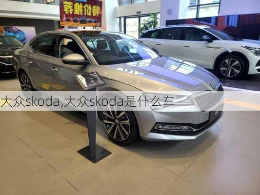 大众skoda,大众skoda是什么车