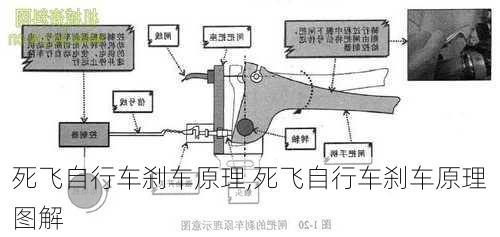 死飞自行车刹车原理,死飞自行车刹车原理图解