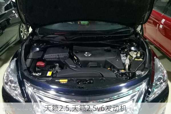 天籁2.5,天籁2.5v6发动机