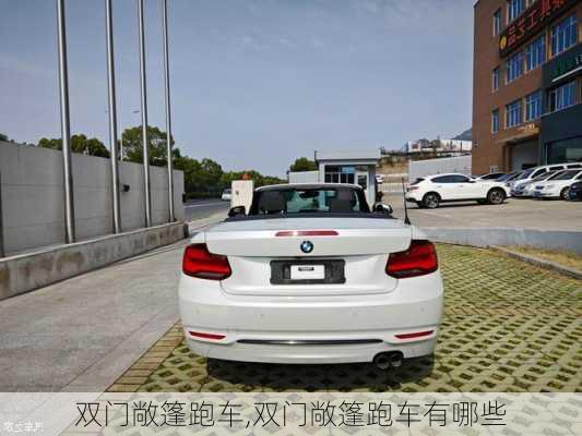 双门敞篷跑车,双门敞篷跑车有哪些