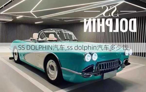 SS DOLPHIN汽车,ss dolphin汽车多少钱