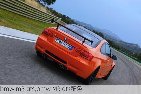 bmw m3 gts,bmw M3 gts配色