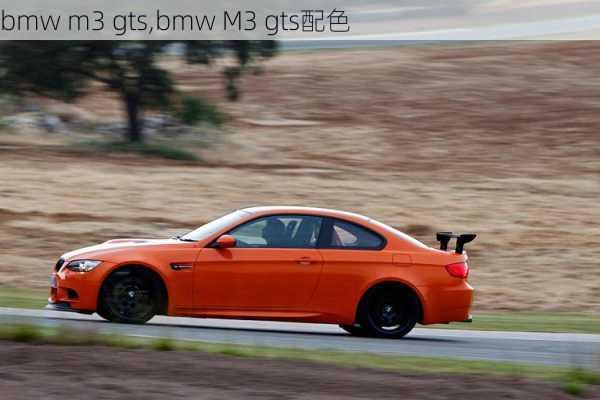 bmw m3 gts,bmw M3 gts配色