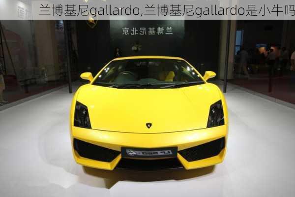 兰博基尼gallardo,兰博基尼gallardo是小牛吗